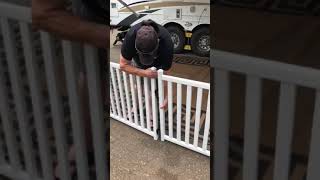 portable camping fence