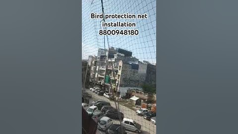 Bird net installation👇 8800948180 #manzilbirdnet#birdnet #pigeonprotenction #shortvideo