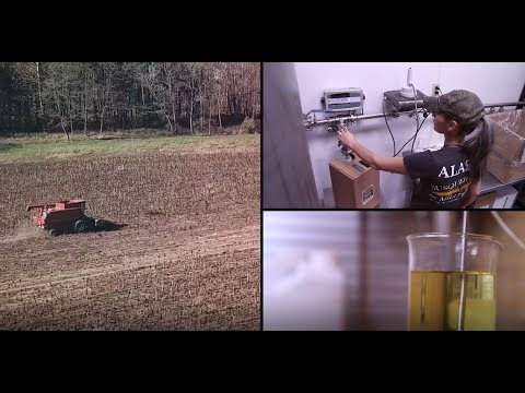 वीडियो: सूरजमुखी के बीज के तेल के गुण और संरचना। उपचार के तरीके