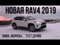 Toyota RAV4 2019 Тест Драйв, Обзор, Впечатления