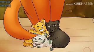 Video thumbnail of "Hollyleaf/GRRRLS-AViVA/Warriors cats"