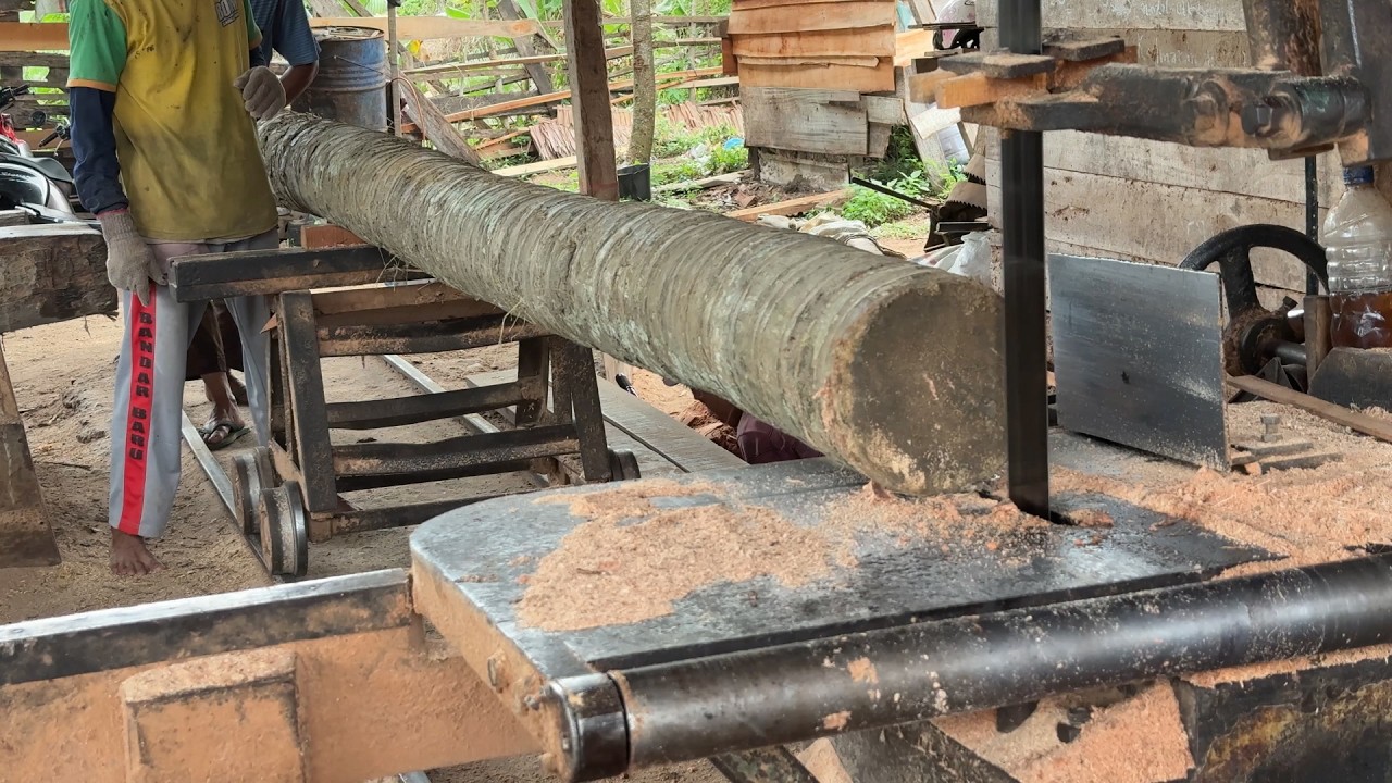 The Process of Sawing 5x7 Coconut Wood Very Neatly