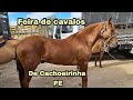 FEIRA DE CAVALOS DE CACHOEIRINHA PE QUINTA FEIRA 25/02/2021