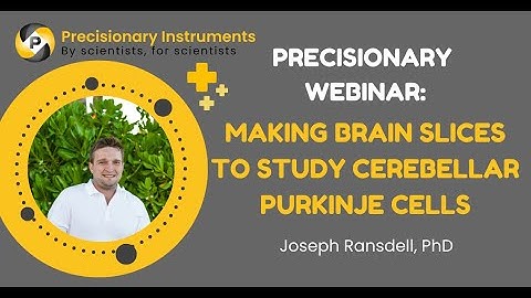 Precisionary Webinar: Joseph Ransdell on "Making Brain Slices to Study Cerebellar Purkinje Cells"