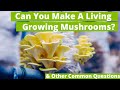 Free Workshop: Starter Guide To Mushroom Farming | GroCycle