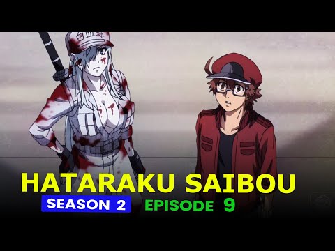 Hataraku Saibou, Season 2