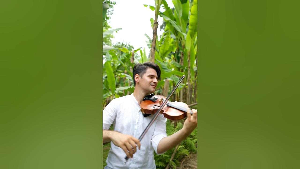 Despacito Violin Cover in a Banana Plantation (Luis Fonsi ft. Daddy Yankee) Despacito Violin Cover in a Banana Plantation (Luis Fonsi ft. Daddy Yankee)
