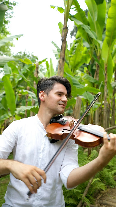 Despacito Violin Cover in a Banana Plantation (Luis Fonsi ft. Daddy Yankee)