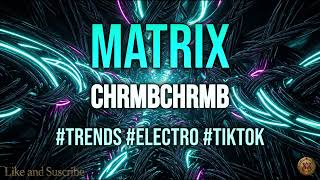 CHRMBCHRMB - Matrix 10 HOURS PERFECT LOOP High-Intensity Phonk