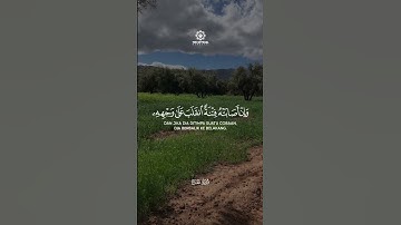 تلاوة خاشعة تريح الاعصاب 🤲❤️