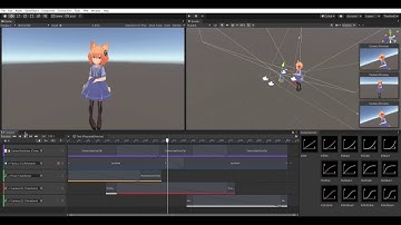 Unity Timeline CameraTransform & Switch Test