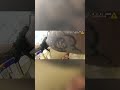 Cops In A Shootout #police #bodycam #explore #tiktok #viral