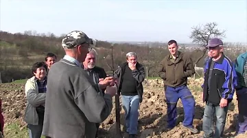 Co se zobrazuje v rovině řezu?