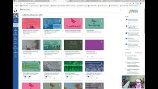 Canvas Accessibility Tutorial: Visibility Accessibility Options