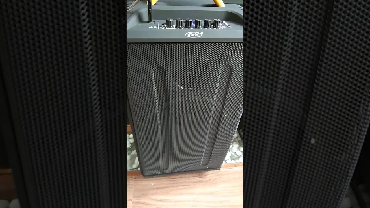 ONY. Trolly Speaker With 2 Mic Free