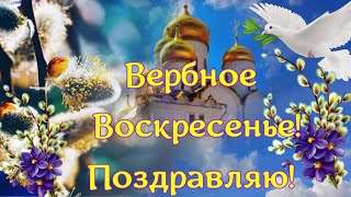 Поздравляю с Вербным Воскресеньем!