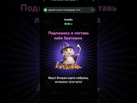 13 августа комбо