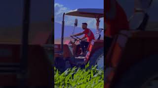 Asalet soydan gelir sonradan değil