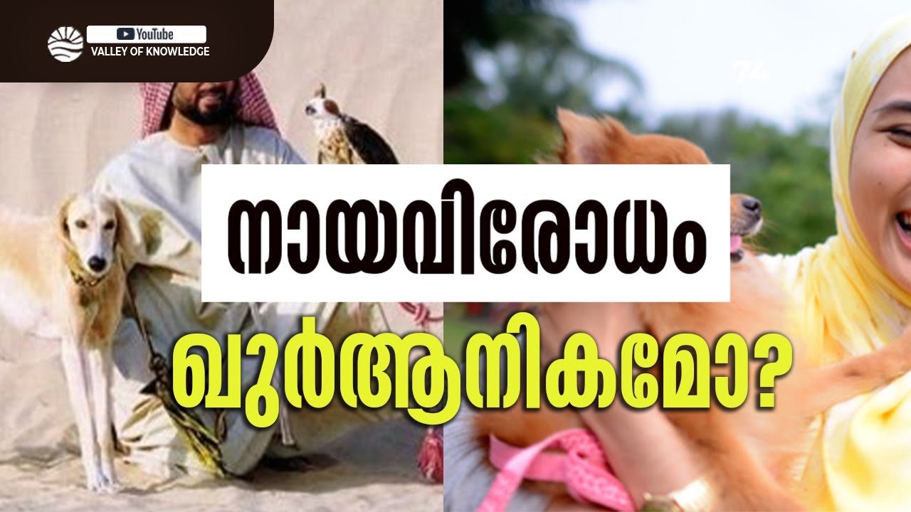 127 നായവിരോധം ഖുർആനികമോ? - C H Musthafa Maulavi