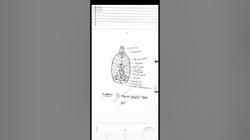 B.Sc. part 3rd, Zoology practical file, pdf, 2020,Hindi & English medium, download,full pdf