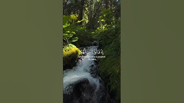 #قران_كريم #السديس #ايات_قرانيه_قصيره #ايات_الشفاء #اجر_لي_ولك #ايات #آيات #quran #quran_kareem