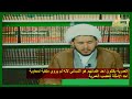 العمرية يقتلون احد علمائهم هو النسائي لانه لم يروي منقبة لمعاوية احد الامثلة لتعصب العمرية