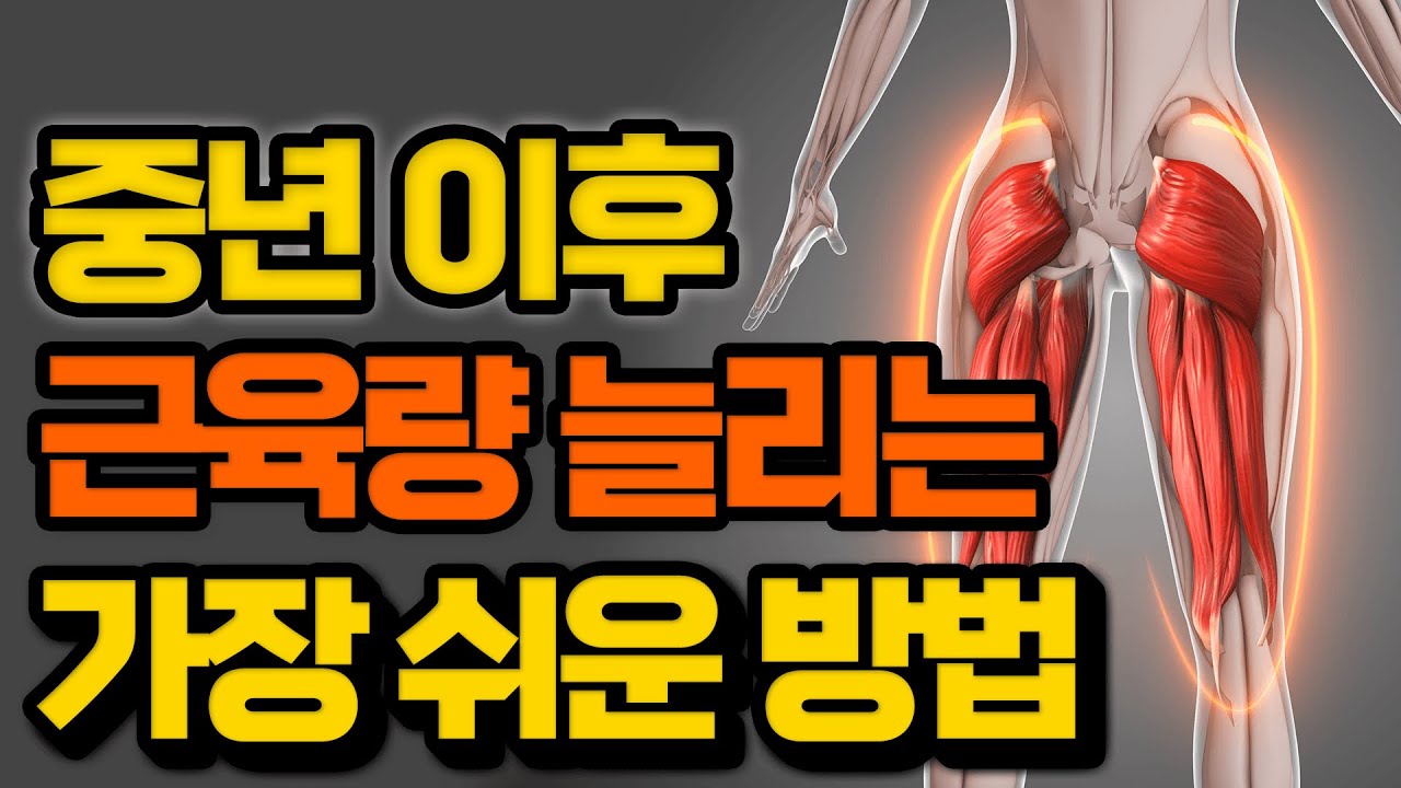 내 몸의 만능 열쇠 ‘근육’ 이렇게 관리하세요!ㅣ당뇨근육 면역력근육 근감소증 단백질근육