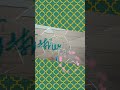 Calligraphy Heading Ideas | Easy Cursive Title Writing for Notes