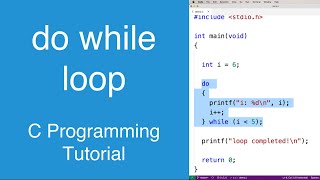do while loop | C Programming Tutorial