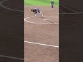 Northwest Shoals College Softball Pitcher in Action During Game vs. Wallace State April 30, 2026