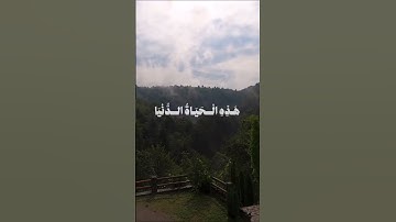سورة {غافر} الشيخ محمد صديق المنشاوي #محمد_صديق_المنشاوي #قران_كريم #قران #اجر #غافر #الله #quran