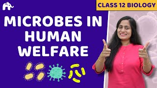 Microbes in Human Welfare Class 12 | NCERT Chapter 10 | CBSE NEET | One Shot