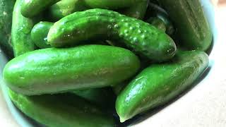 What We Are Harvesting Out Of Our Garden July 2026 #beginnergardening #adayinmylife #gardentips