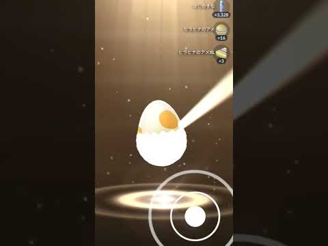 ＃ポケモン＃PokemonGO＃卵が割れる時