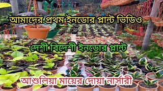 আমাদের প্রথম ইনডোর প্লান্ট ভিডিও দেশী বিদেশী ইনডোর প্লান্ট আশুলিয়া মায়ের দোয়া নার্সারী।2021