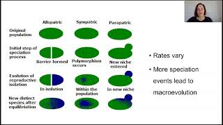 Speciation and macroevolution (Part 2)