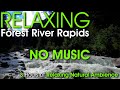 3 Hour Relaxing Beautiful Calm Reflective Lake with Soothing Sounds of Nature [No Music]