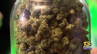 Recreational marijuana measures officially on Colorado Springs November Ballot