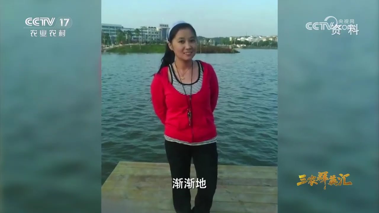 《三农群英汇》 20260306 “青青”棚下 | 农业致富经 Agriculture And Farming