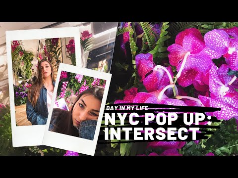 NYC - Pop Up Exhibit! Intersect by Lexus