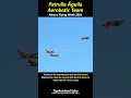 Spanish Patrulla Aguila @ Athens Flying Week