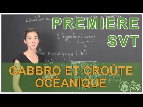 Vidéo: Le bas alte peut-il être poli ?