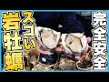 すごい岩牡蠣の話。|COCOCORO