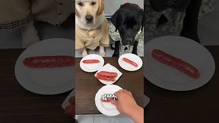 En Serio? Otra Vez No