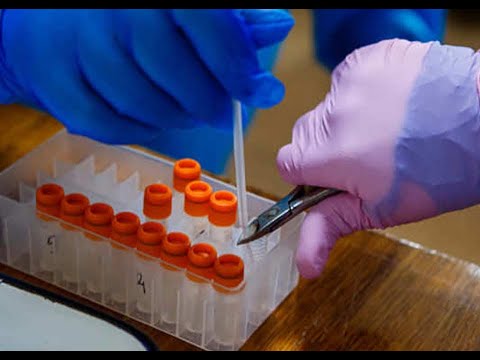 ეპიდემიოლოგიური ვითარება და საქართველო „სოლიდარობის“ კვლევაში