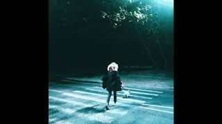 The Cancel  Autumn  Album