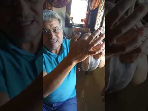 التقليبة و معلومات عن الجناح