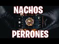 Nachos Perrones con Arrachera