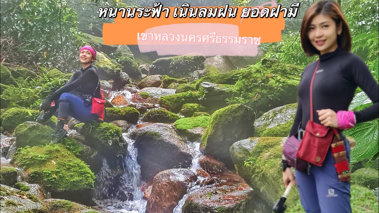 ยอดฝามี เนินลมฝน หนานระฟ้า หินสองเกลอ เขาหลวงนครศรีธรรมราช 4 วัน 3 คืน ที่สุดของป่าใต้