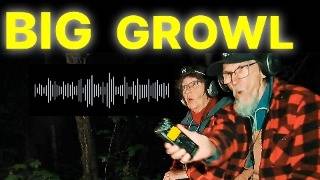 A BIG Growl? - What's THIS Unexplained Sound in the Woods?